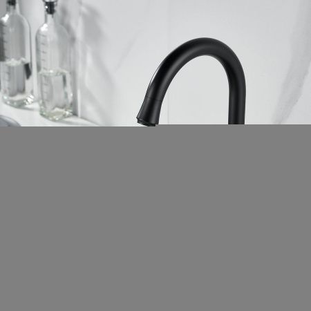 Смеситель для кухни Raffine F103H на мойку черный