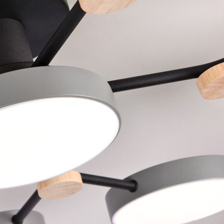 Люстра потолочная LED4U L3201-780 GR