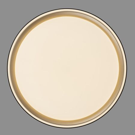 Светильник потолочный музыкальный Citilux Boss (Босс) CL751251G