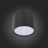 Светильник потолочный ST Luce Rene (Рене) ST113.442.09