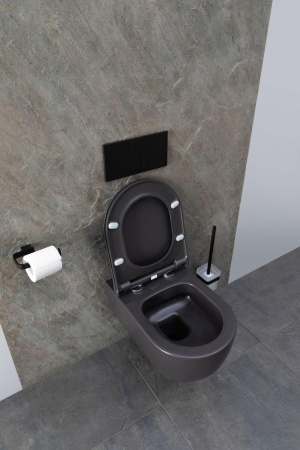 Чаша унитаза подвесная Allen Brau Priority 4.31001.AN цвет черный без сиденья безободковая каскадный смыв