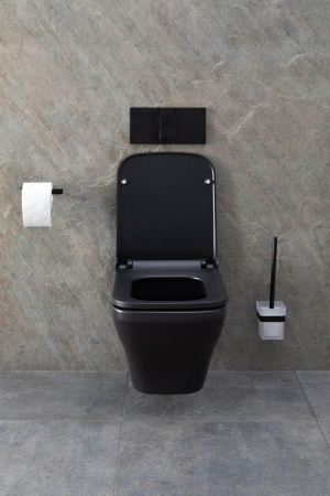 Чаша унитаза подвесная Allen Brau Infinity 4.21011.31 цвет черный матовый без сиденья безободковая каскадный смыв