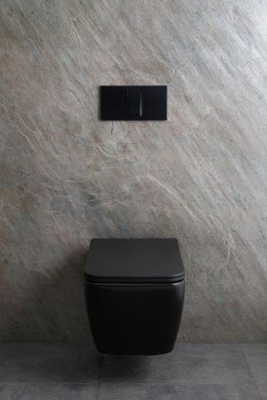 Чаша унитаза подвесная Allen Brau Liberty 4.33007.31 цвет черный без сиденья безободковая каскадный смыв