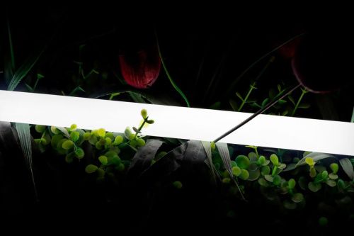 Светодиодная лента SWG Standard 00-00013283 - фото 3