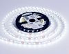 Светодиодная лента Ambrella Light illumination (иллуминатион) GS4003