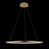 Светильник подвесной Loft It Ring 10014L
