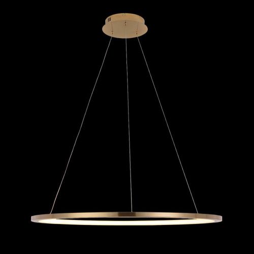 Светильник подвесной Loft It Ring 10014L - фото 2