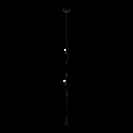 Светильник подвесной Loft It Parentesi 10346/2 Black