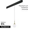 Трековый светильник Lightstar Globo (Глобо) PRO813012