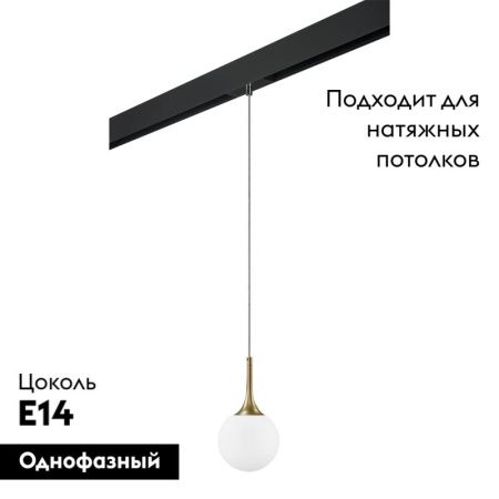 Трековый светильник Lightstar Globo (Глобо) PRO813012