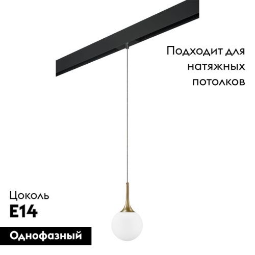 Трековый светильник Lightstar Globo (Глобо) PRO813012 - фото 2