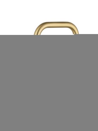 Смеситель для кухни Wonzon & Woghand WW-6018-BG на мойку золото