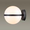 Уличный настенный светильник Odeon Light LOMEO (ЛОМЕО) 4832/1W
