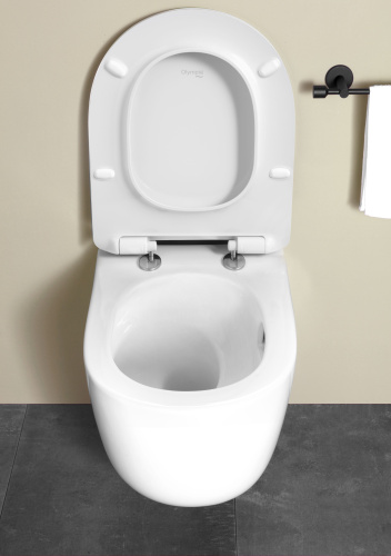 Унитаз подвесной Olympia Tornado TORSETR11 белый матовый с сиденьем микролифт смыв торнадо - фото 3