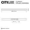 Светильник настенно-потолочный Citilux Тринити CL238691