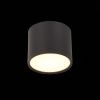 Светильник потолочный ST Luce Rene (Рене) ST113.432.09