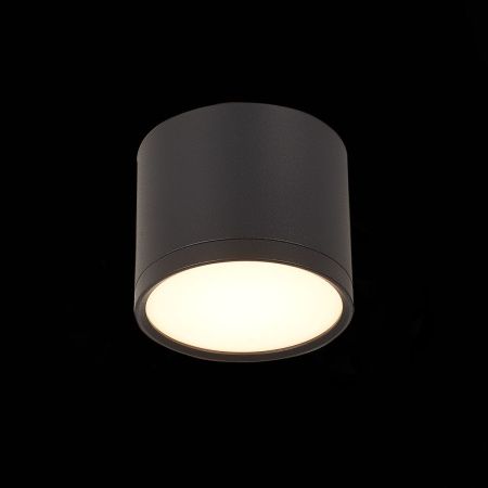 Светильник потолочный ST Luce Rene (Рене) ST113.432.09