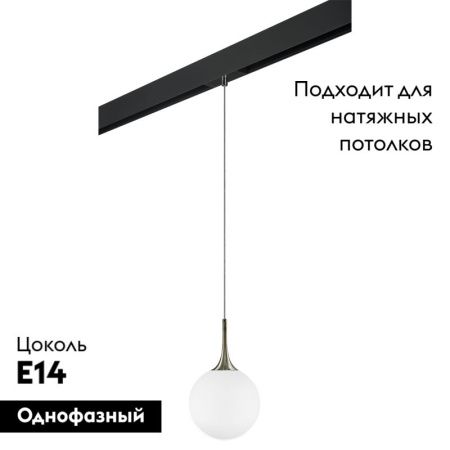 Трековый светильник Lightstar Globo (Глобо) PRO813021