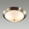 Настенно-потолочный светильник Lumion Vintage (Винтаге) 5262/3C