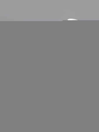 Полотенцесушитель электрический Indigo Line LСLE50-40WMR 45х50 белый