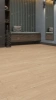 SPC ламинат Alpine Floor Sequoia ECO 6-9 SPC Секвойя Натуральная толщина 0.4 см 43 класс 1219,2х184,15