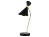 Настольная лампа Zortes DeskLight (ДескЛигхт) ZRS.1066.04