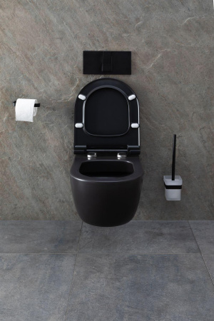 Чаша унитаза подвесная Allen Brau Priority 4.31001.31 цвет черный матовый без сиденья безободковая каскадный смыв