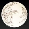 Светильник накладной Toplight Irene (Ирене) TL9630Y-00WH
