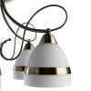 Люстра потолочная Arte Lamp Noemi (Ноеми) A6192PL-5AB