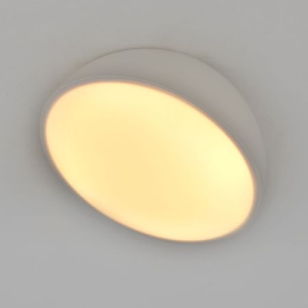 Светильник потолочный Escada 20025led 20025SMA/01LED WH