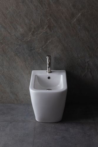 Биде Allen Brau Infinity 4.21005.20 напольное - фото 4