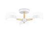 Люстра на штанге Ambrella Light LineTech (ЛинеТецх) FL4821
