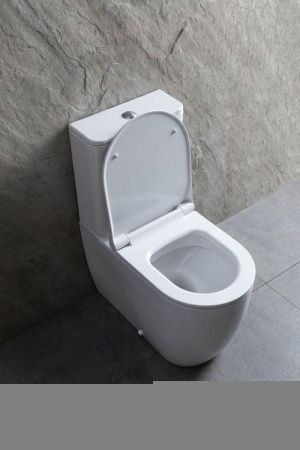 Чаша унитаза напольная Allen Brau Priority 4.31003.20 цвет белый без бачка с сиденьем микролифт безободковая каскадный смыв