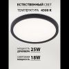 Светильник потолочный Natali Kovaltseva Plain (Плаин) LED LAMPS 81114/2C