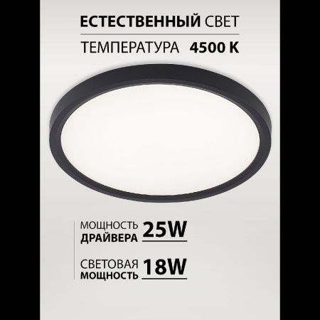 Светильник потолочный Natali Kovaltseva Plain (Плаин) LED LAMPS 81114/2C