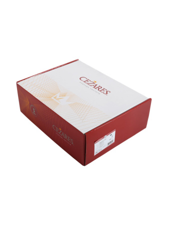 Душевая система Cezares RAIN RAIN2-SET-T-GM встраиваемая в стену цвет оружейная сталь с термостатом