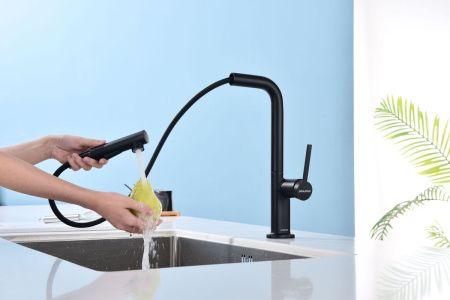 Смеситель для кухни Paulmark NEO Ne214419-AN на мойку черный