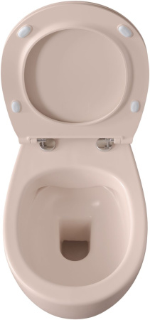 Чаша унитаза подвесная Allen Brau Fantasy 4.11004.SM цвет розовый без сиденья безободковая каскадный смыв