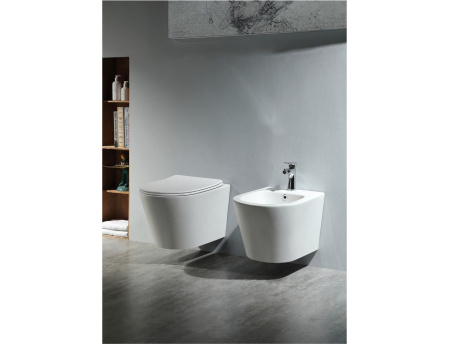 Унитаз подвесной Aquatek ВЕГА AQ1905-00 белый с сиденьем микролифт безободковый каскадный смыв