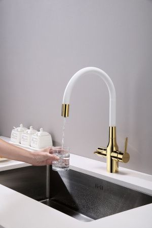 Смеситель для кухни Paulmark SALIX Sa213419-Gw на мойку золото