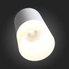 Светильник накладной ST Luce OTTU (ОТТУ) ST100.502.10