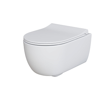 Унитаз подвесной Ambassador Abner 103T20101R-102T20101S белый матовый с сиденьем