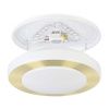 Светильник потолочный Eglo Led Carpi (Лед Царпи) 900369