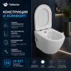 Унитаз подвесной Taliente Amato AM25010 + SMcromo белый с сиденьем безободковый смыв торнадо
