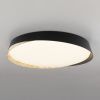 Светильник потолочный музыкальный Citilux Bonny (Бонны) CL754451G