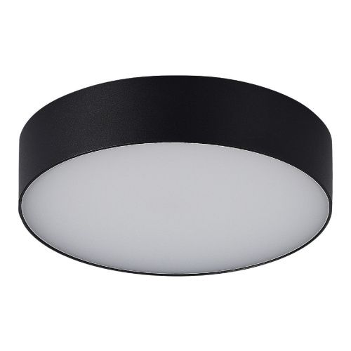 Уличный потолочный светильник ST Luce Sun (Сун) SL9518.402.01 - фото 2