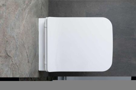 Чаша унитаза подвесная Allen Brau Liberty 4.33007.21 цвет белый без сиденья безободковая каскадный смыв