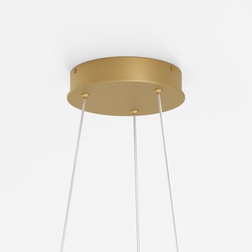 Светильник подвесной Maytoni Rim Modern MOD058PL-L65BSK - фото 4