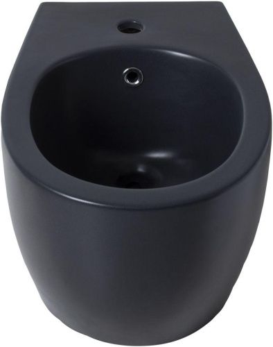 Биде Allen Brau Fantasy 4.11006.31 подвесное - фото 3