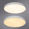 Светильник накладной Arte Lamp Arena (Арена) A2671PL-1WH